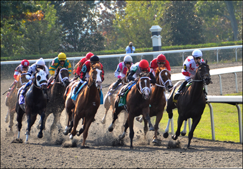 Horse-Race-Keeneland